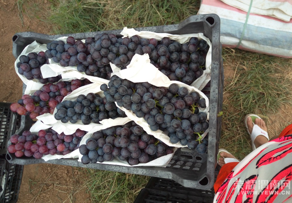 μ������μ��9��3�ŷ���5000�����ѣ��Ǹ����̺ڰ���