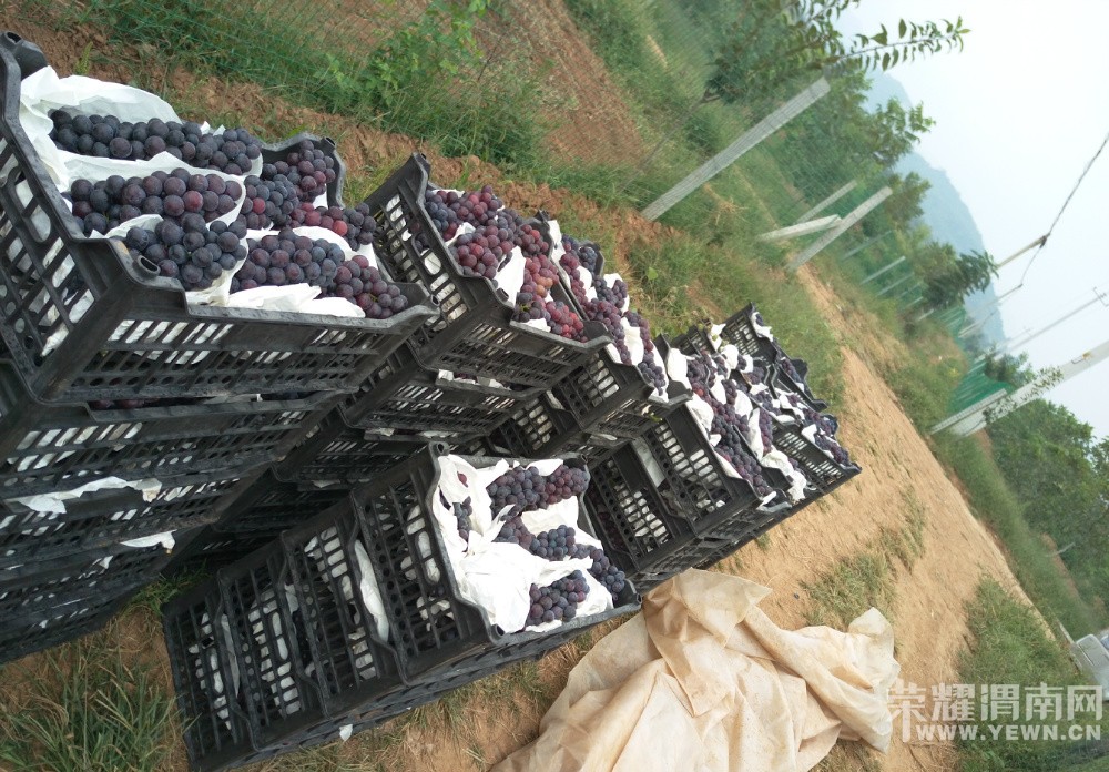 μ������μ��9��3�ŷ���5000�����ѣ��Ǹ����̺ڰ���