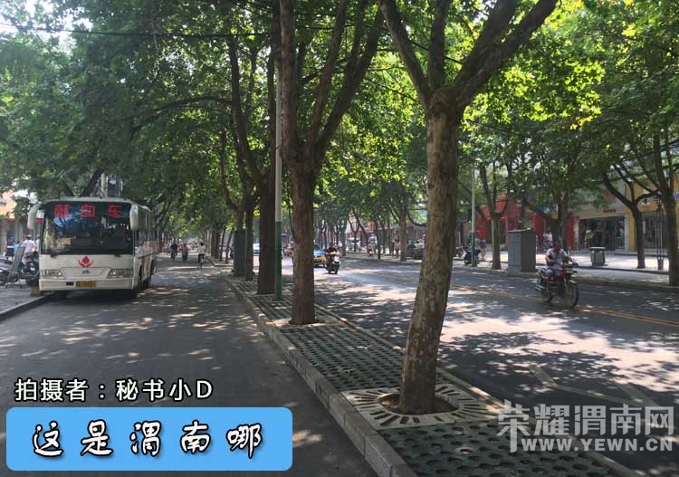 ������μ����-128�ڡ�μ�ϵ����ɵ���������������֪��������