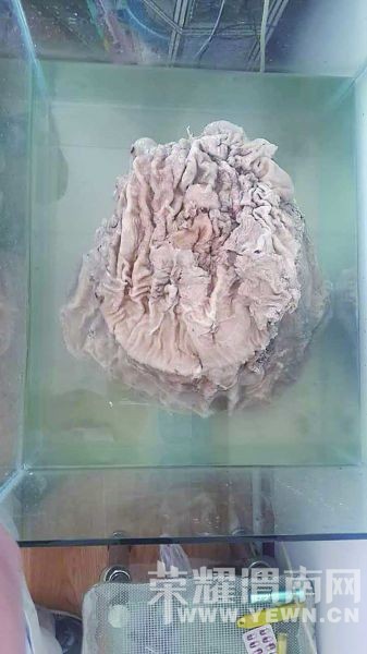 ���ӹ��ؼ�50����"��׮" ����̫��(ͼ)