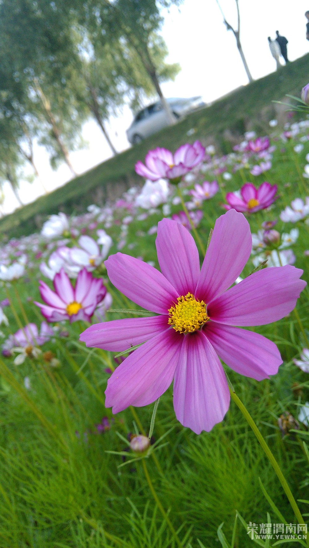 Ѱ��һ����ë���ﳵ���˶�������