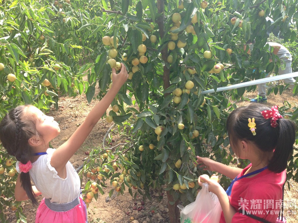 �ٵ������Դ嶬���ժ����������л��ʼ��