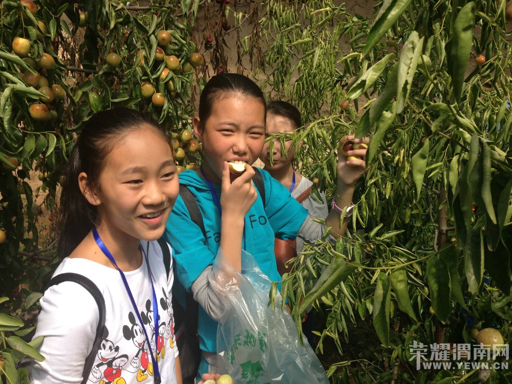 �ٵ������Դ嶬���ժ����������л��ʼ��