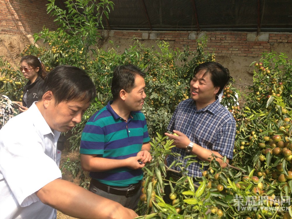 �ٵ������Դ嶬���ժ����������л��ʼ��