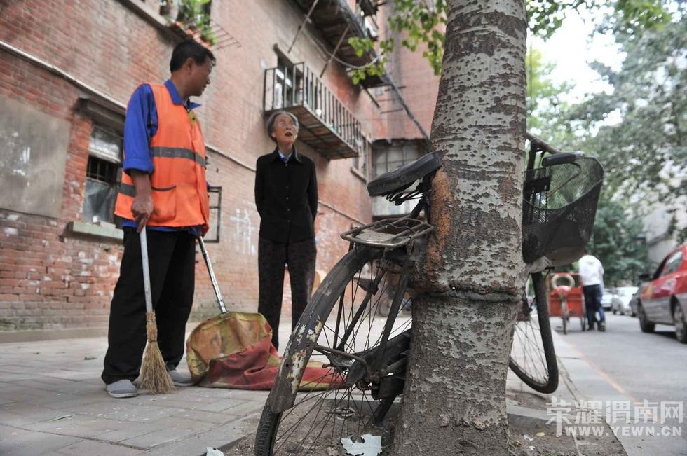 ����һ���г������������� ������������