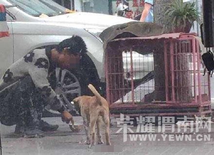 ���Ӷ�����ͻȻ����ʳ�Թ� ������Ҵ��뿪