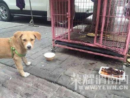 ���Ӷ�����ͻȻ����ʳ�Թ� ������Ҵ��뿪