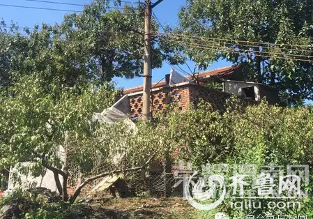 ���ϲݴ�������Ůʬ Ŀ���ߣ���������������ɱ