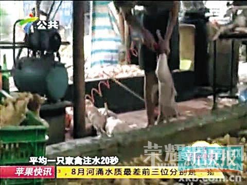 ˽�׳������ˮ������  ��ȡ����ˮע�뼦Ѽ��