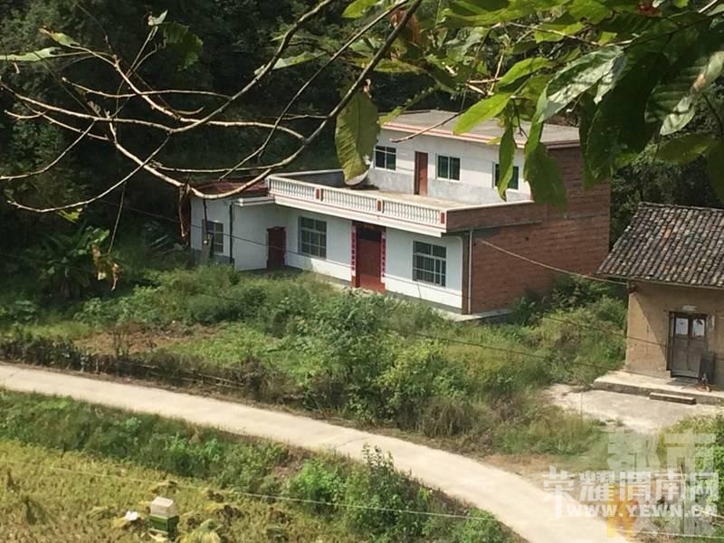 ��ͼ�������к�������Ѫ����2��7�� 8���к�����