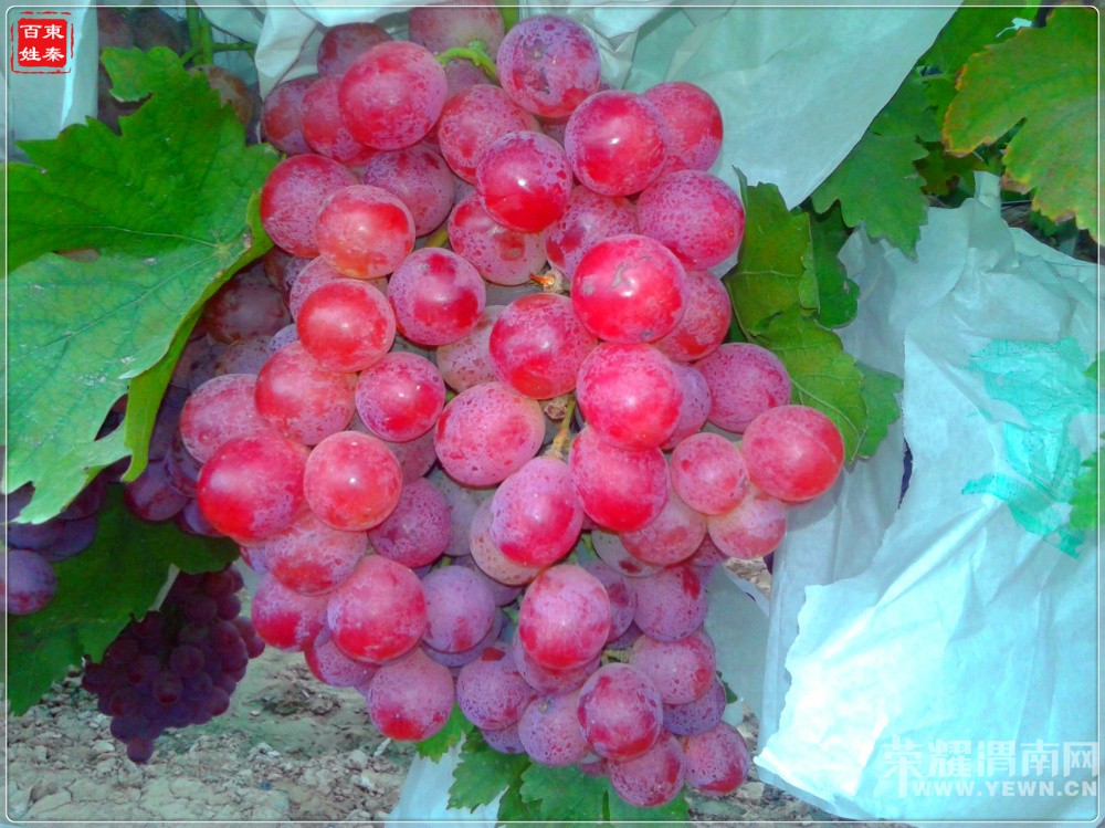 �����еġ��챦ʯ��