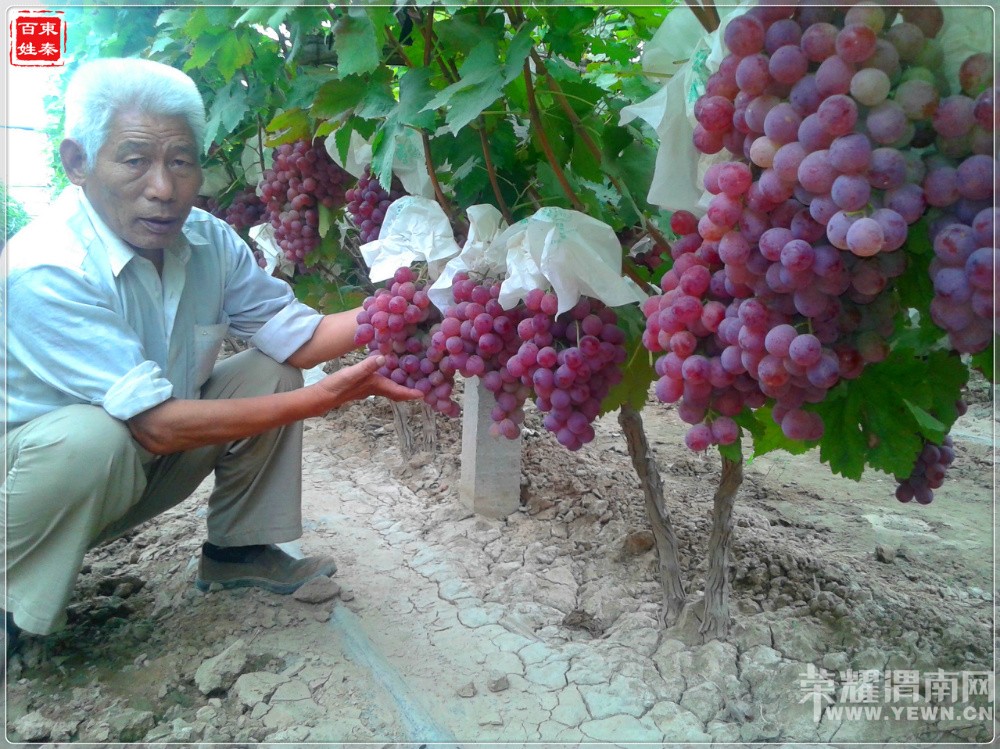 �����еġ��챦ʯ��