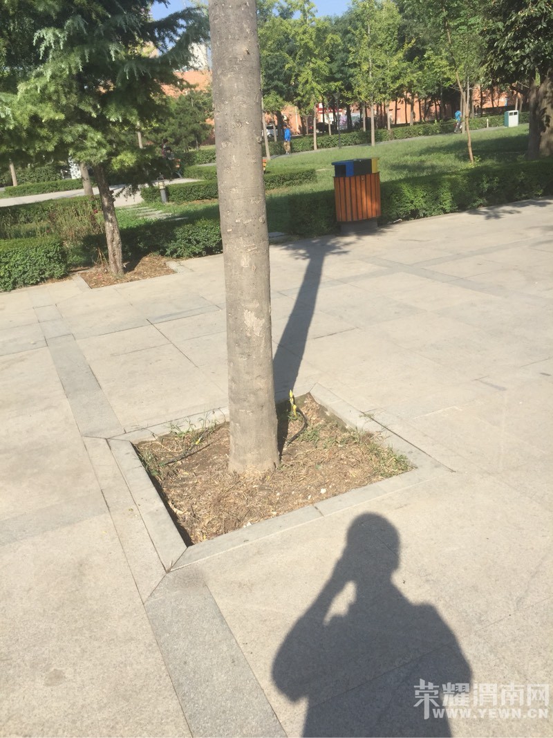 μ�幫԰������¶���еĵ��߾�����Ե������û�У�ͦΣ�յģ�
