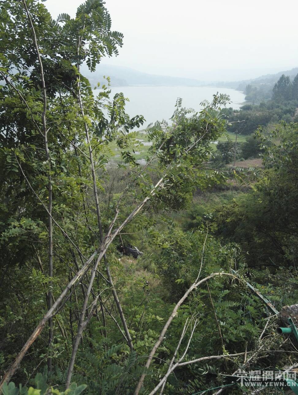 什麼原因在渭花路沋河水庫西岸差點開入水中……_百姓生活_榮耀渭南網