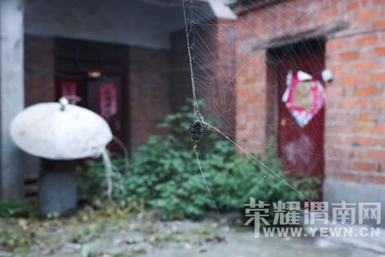 �����뾫��Ů��ͬ��13�걻��ǿ�� ��������Ů