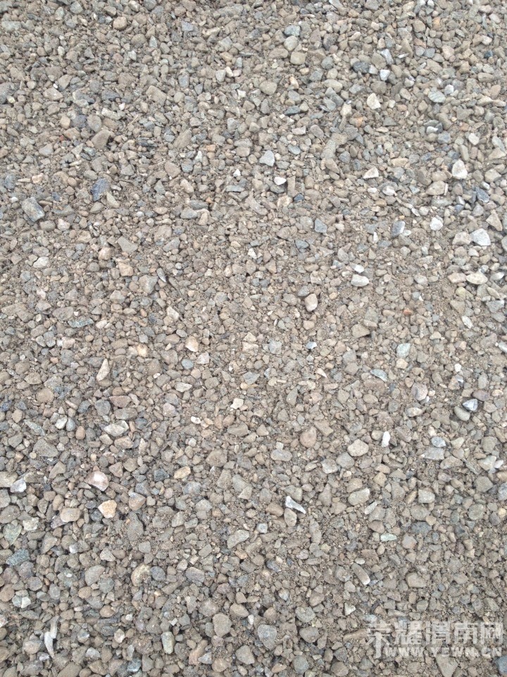135023zrxzu1uudd7dr7r1.jpg
