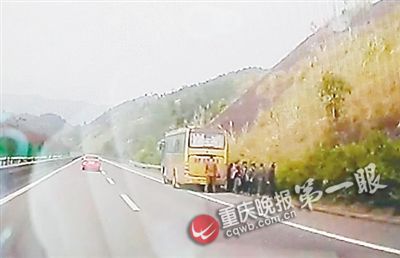 ˾������·���ڼ�  Ӧ������ͣ��С�ⱻ��12��