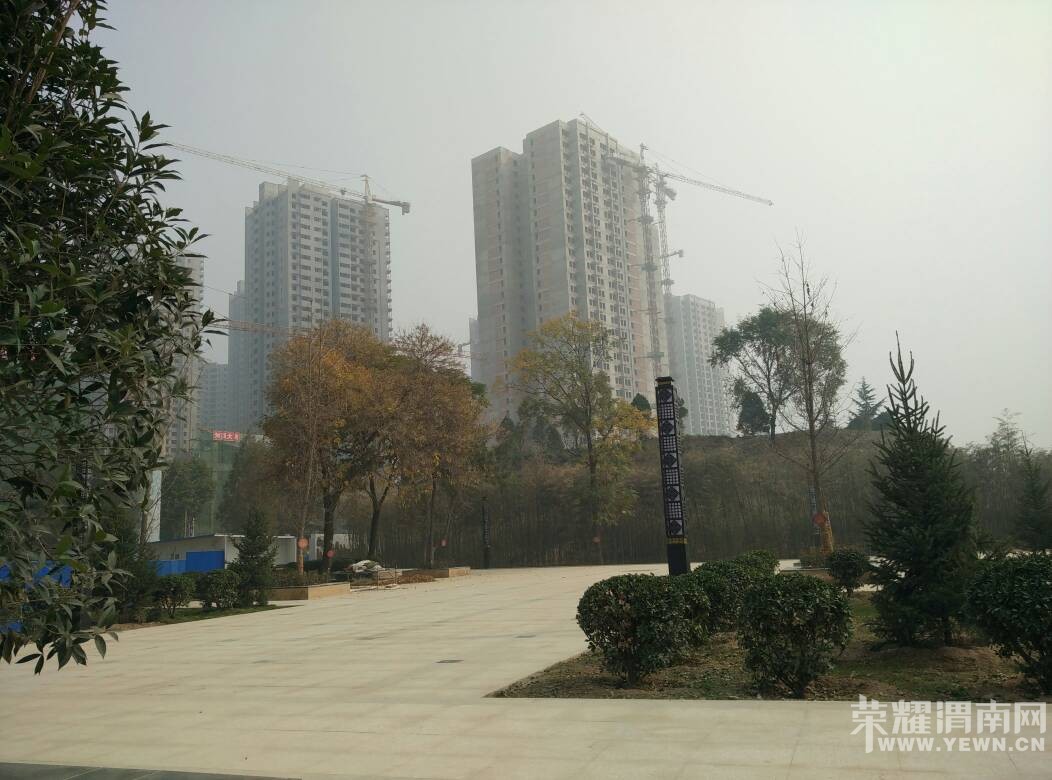 133806jzs039z1c2h3mv0n.jpg