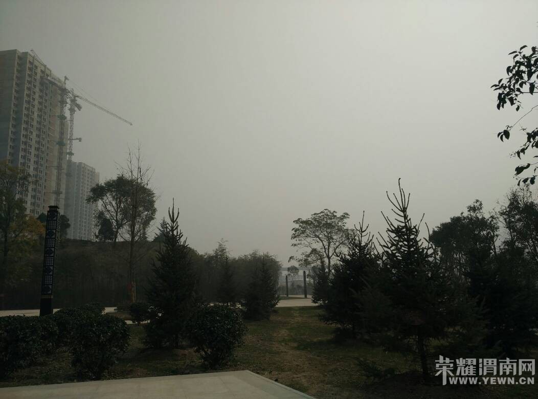 133808s0pg3gif0320zflg.jpg