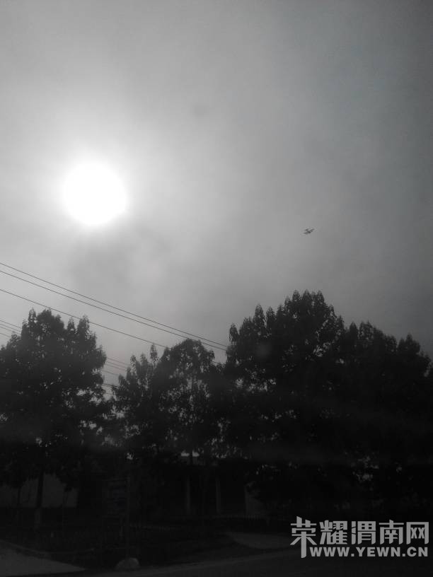 155347h6p5522z2s9wm2br.jpg