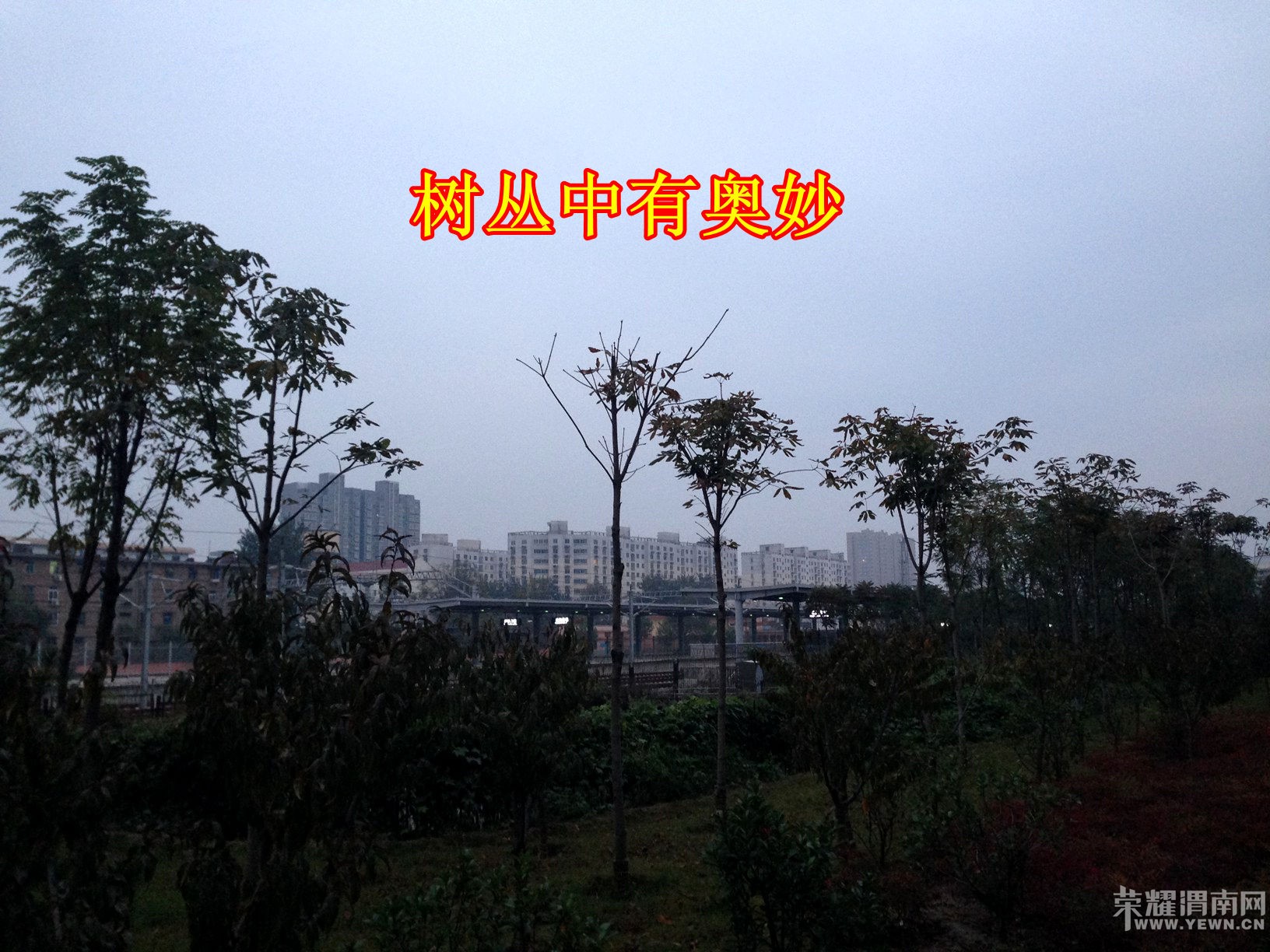һ��������������С���֣��������а�������²¿�