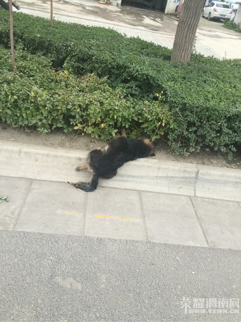 �����Ĺ�������·�ߣ���ϧ�����������ˣ�ףƽ����