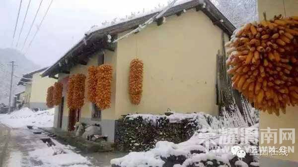 164202vkf55gfkkkqz9zff.jpg