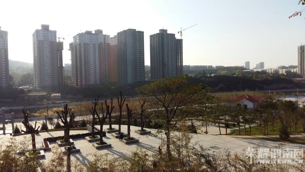 165942w0nct1qq3m46ztnl.jpg