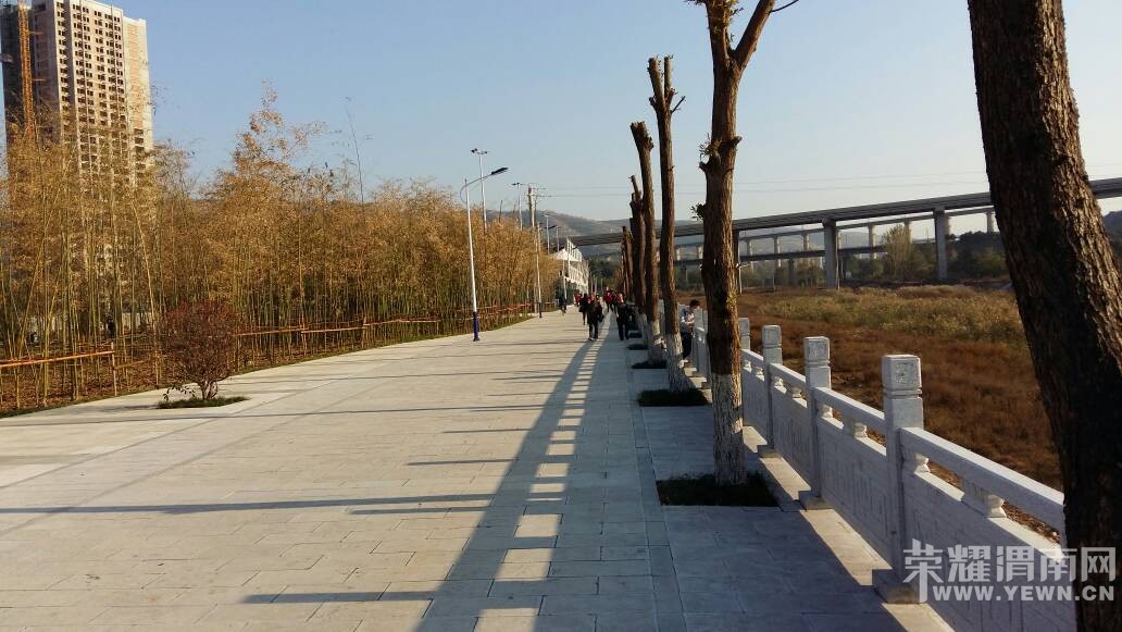 170010ke3jxvjgica8asge.jpg
