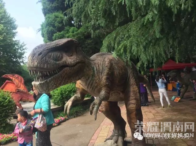 ��μ���п�����԰����ٹ��������ƭ��������