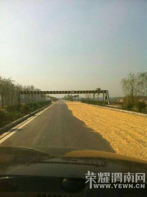 ���չ���μ�Ӵ��ɹ��������Ƶ��������·�汻ռȥ��룡