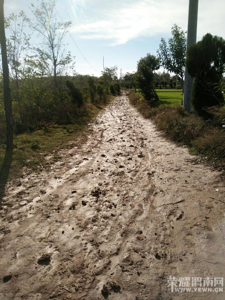 ���ע�������ׯ��4�鳣�ꡰˮ��·����û�˹�û����~