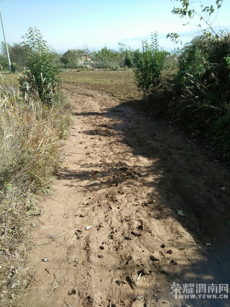 ���ע�������ׯ��4�鳣�ꡰˮ��·����û�˹�û����~