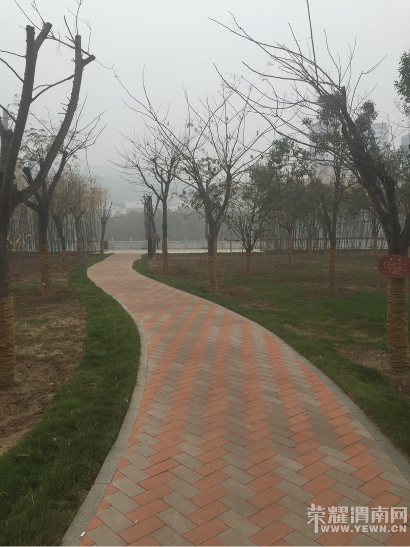 083020vlsnda6k0k8dlne9.jpg