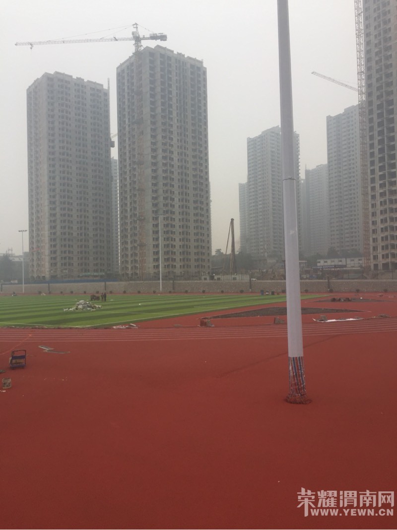 083054ckvr9zu9llfu821s.jpg