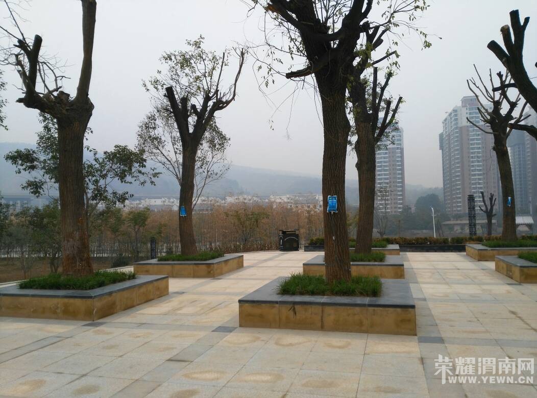 171108zwljrpmbzwhb77rw.jpg