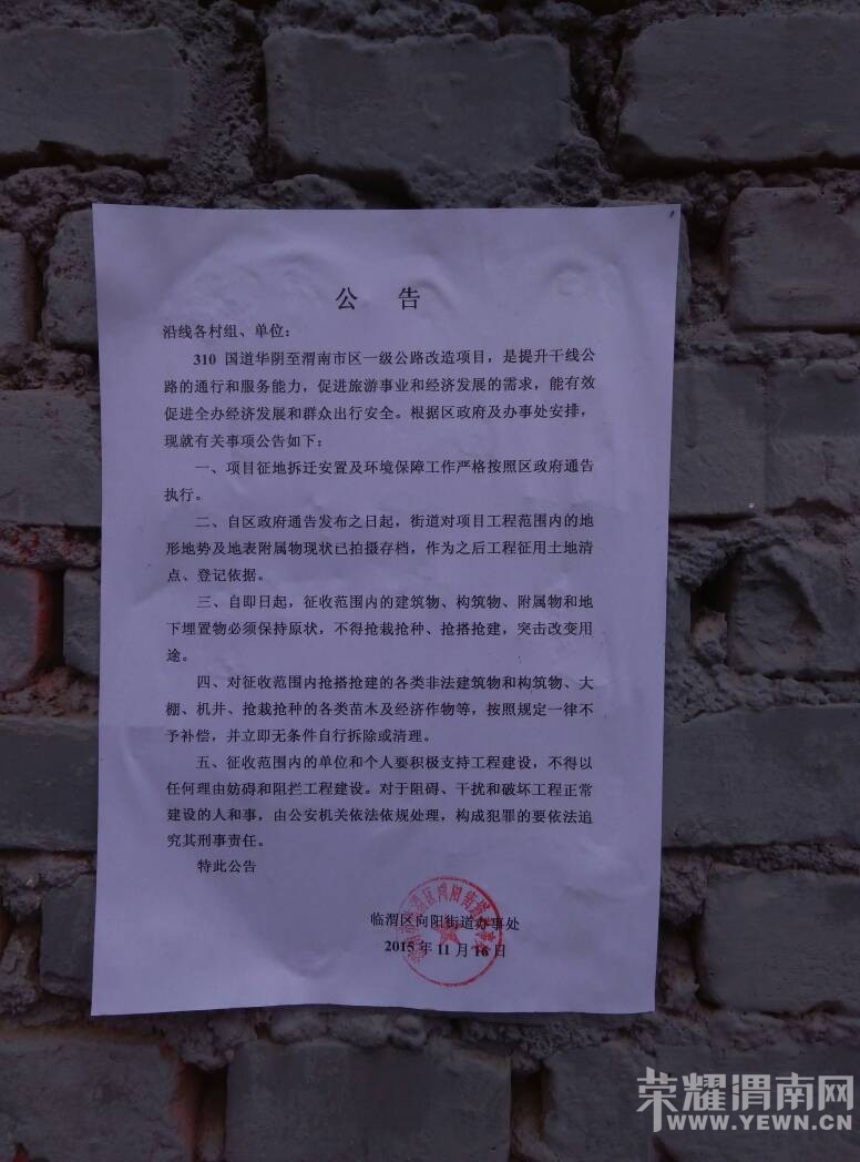 142026mc8gpntt6267pylk.jpg
