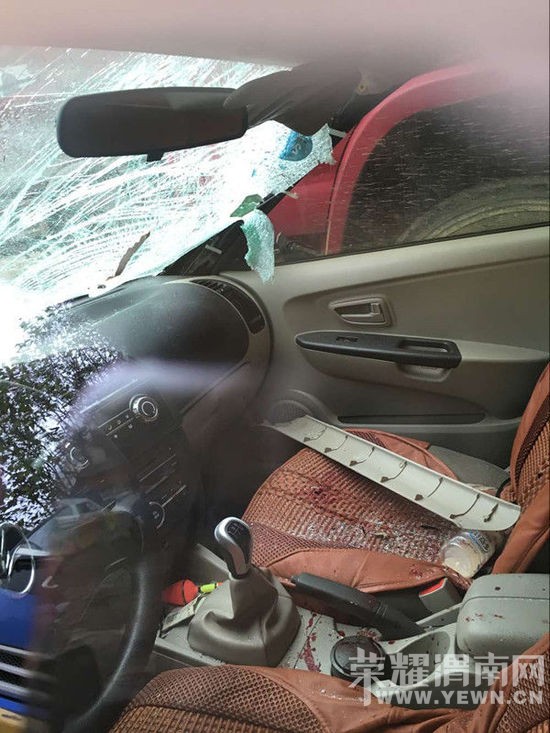 ˾����Ƽݶ��������������촦  �ѱ��̾�(ͼ)