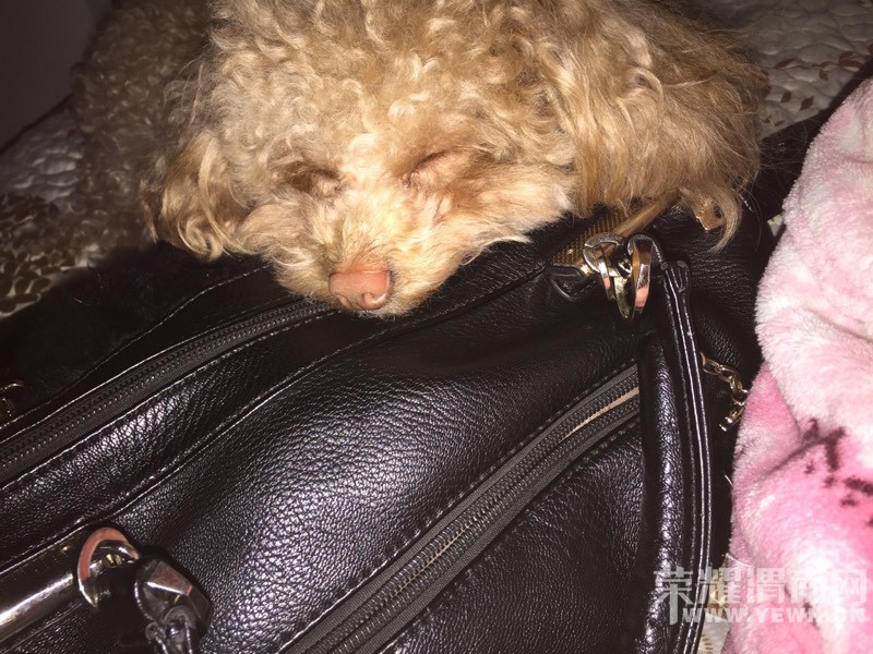 090637xk97rel5dejq4kle.jpg