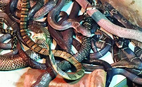 �Ϻ�����·����25���綾�۾���  ������Ϊ����