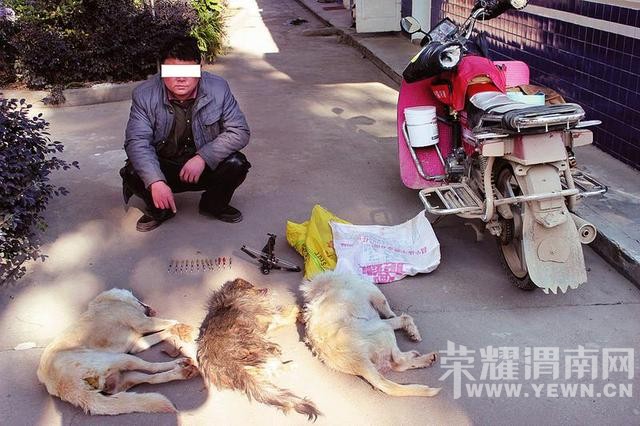 �ù���͵��������ɱ����Ǯ  ���������ӱ�����
