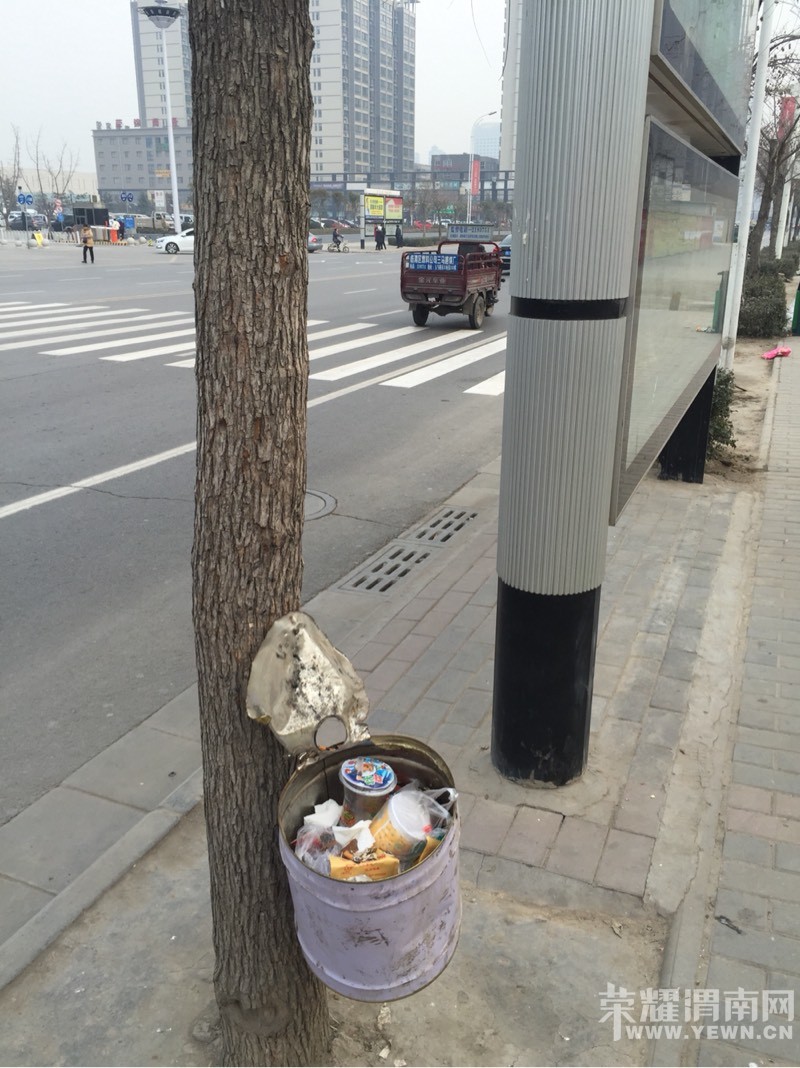 141052hzlwlzzpr8su4cpb.jpg