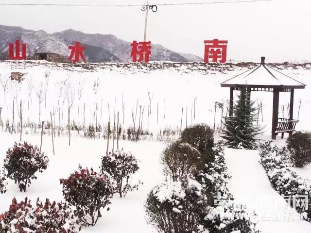 �������ϵĺ������ѩ�׷ɣ���������Ȧ�ﲻͣ׷�ʣ������
