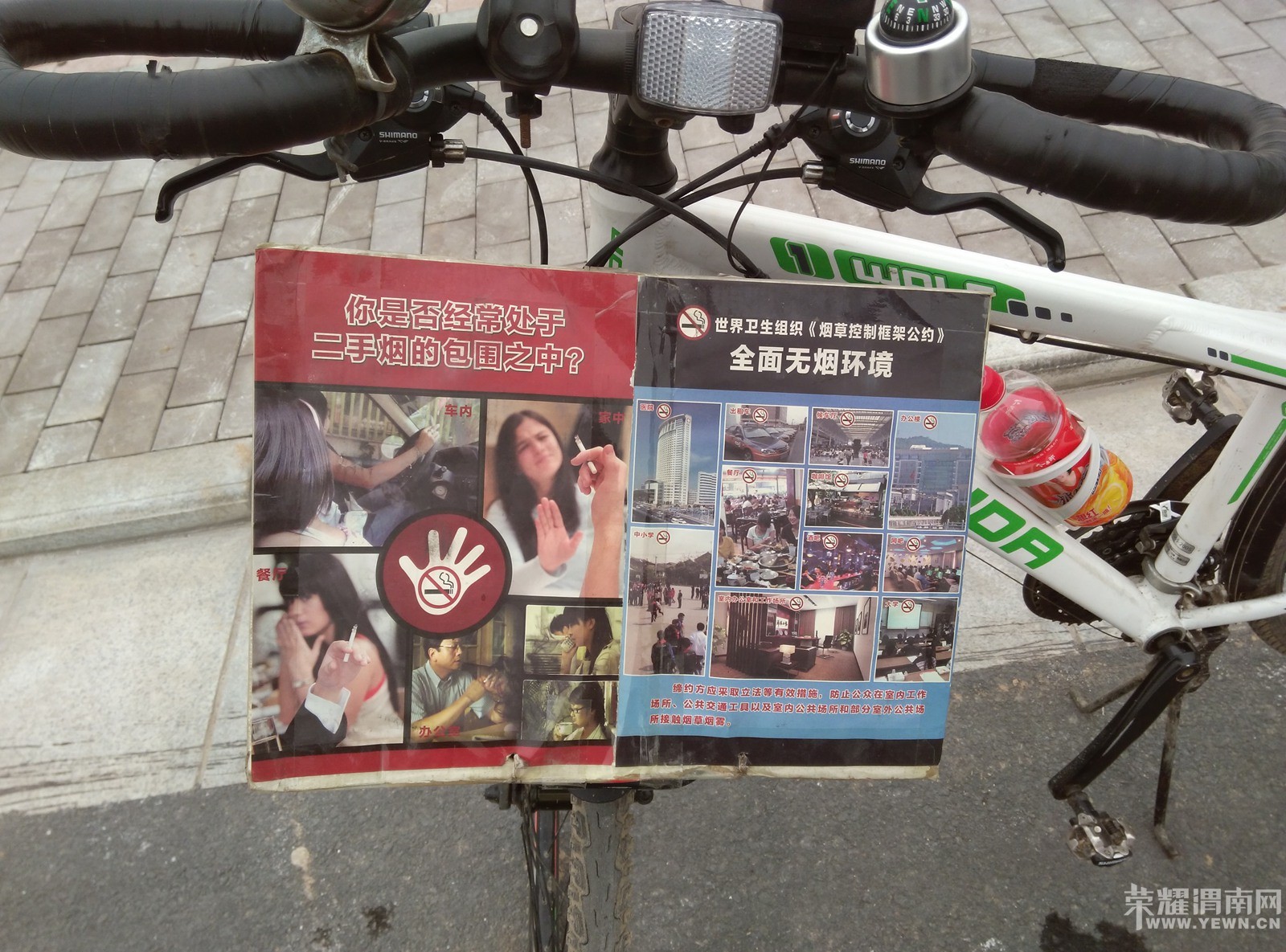 20151110.130830.jpg