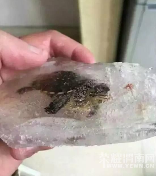 ��ֻ�ڹ����Ϻ����������� ����:���ǻ��о���