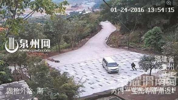 ��������һ��˾��������ɲ�����嵲�� �������