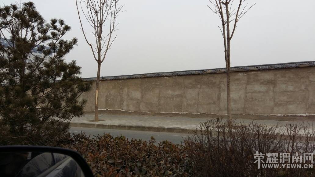 095550w7m87dt8fjavacib.jpg