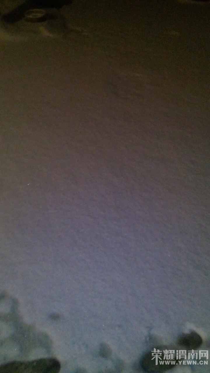 ���Ͽ�������ţ�˹��������ܲ��������˶�����̫ţ�ˣ������ޣ�