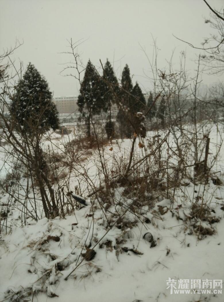 204311igu6d6j886fqqqdo.jpg