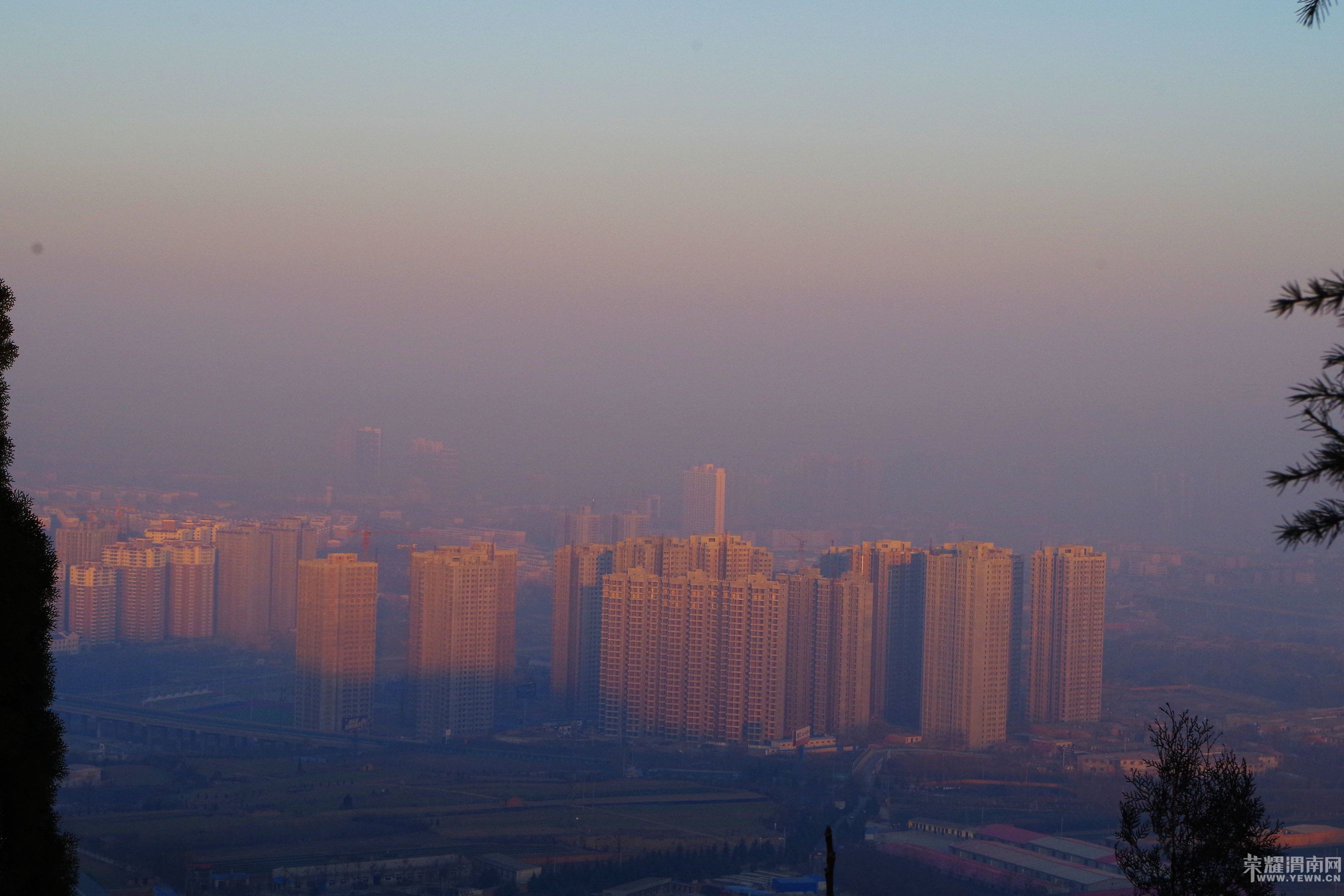 μ�����񰮷���